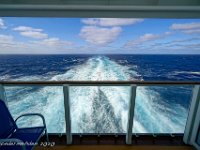 DS604275 : David von der Mehden