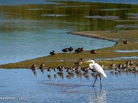 DS701077 : David von der Mehden