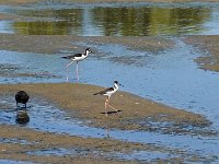 DS701158 : David von der Mehden