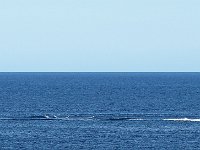 DS701225 : David von der Mehden