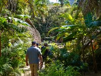 DS701336 : David von der Mehden