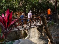 DS701398 : David von der Mehden