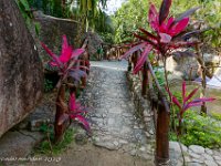 DS701401 : David von der Mehden