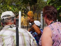 DS701454 : David von der Mehden