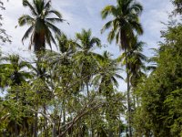 DS701459 : David von der Mehden