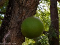 DS701464 : David von der Mehden