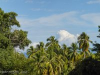 DS701490 : David von der Mehden