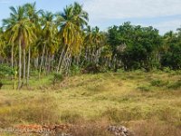 DS701494 : David von der Mehden