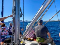 IMG 8120 : David von der Mehden