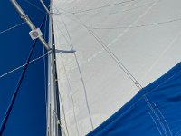 IMG 8121 : David von der Mehden