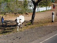 DS701628 : David von der Mehden