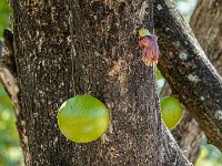 DS701670 : David von der Mehden