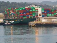 DS604352 : David von der Mehden