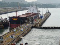 DS701991 : David von der Mehden