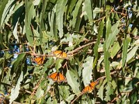 DS700612 : David von der Mehden