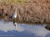 DS700699 : David von der Mehden