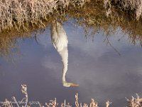 DS700706 : David von der Mehden