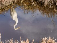 DS700708 : David von der Mehden