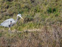 DS700720 : David von der Mehden