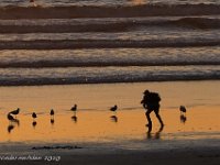 DS700734 : David von der Mehden