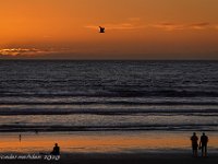 DS700743 : David von der Mehden