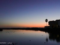 DS700755 : David von der Mehden