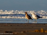 DS700762 : David von der Mehden