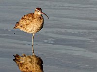 DS700776 : David von der Mehden