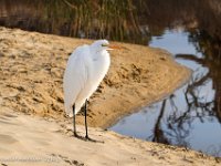 DS700784 : David von der Mehden