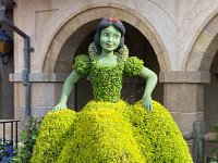 IMG 0219 : David von der Mehden