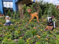 IMG 4391 : David von der Mehden