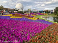 IMG 4427 : David von der Mehden