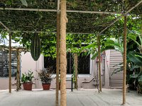 IMG 4435 : David von der Mehden