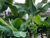 IMG 4436 : David von der Mehden