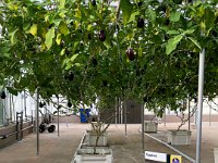 IMG 4469 : David von der Mehden