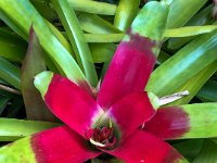 IMG 4502 : David von der Mehden