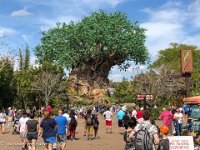 IMG 4525 : David von der Mehden