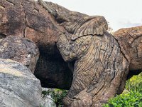 IMG 4530 : David von der Mehden