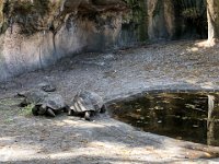 IMG 4532 : David von der Mehden