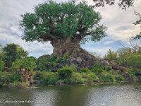 IMG 4548 : David von der Mehden