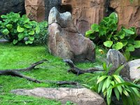 IMG 4551 : David von der Mehden