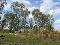 IMG 4552 : David von der Mehden