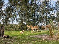 IMG 4553 : David von der Mehden