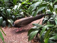 IMG 4561 : David von der Mehden