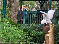 IMG 4570 : David von der Mehden