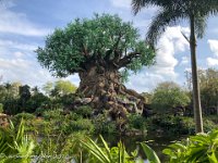 IMG 4574 : David von der Mehden