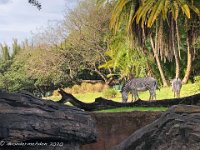 IMG 4580 : David von der Mehden