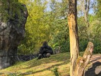 IMG 4583 : David von der Mehden