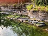 IMG 4596 : David von der Mehden