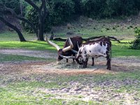 IMG 4602 : David von der Mehden